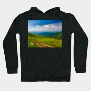 A Rock And A Hard Place Hoodie